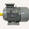 Impel 3.7 KW 5.0HP 4 Pole IE2 1440 RPM B3 Foot Mounted 112M Frame 415V Motor