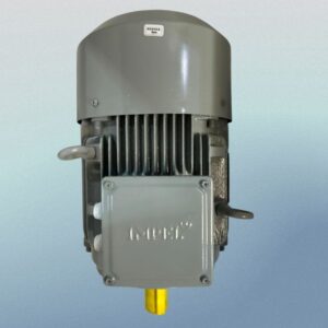 Impel 7.5HP 2 Pole IE2 2880RPM B3 Foot Mounted 132SFrame 415V Motor