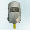 Impel 15HP 4 Pole IE2 1450RPM B3 Foot Mounted 160MFrame 415V Motor