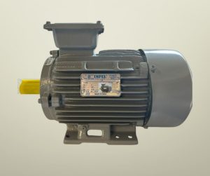 Impel 0.5HP 6 Pole IE2 920RPM B3 Foot Mounted 80Frame 415V Motor Impel 0.5HP 6 Pole IE2 920RPM B3 Foot Mounted 80Frame 415V Motor