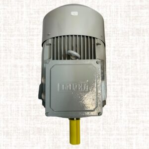 Impel 15HP 6 Pole IE2 950RPM B3 Foot Mounted 160LFrame 415V Motor