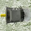 Impel 7.5 HP 2 Pole IE2 2880 RPM B5 Flange Mounted 132 Frame 415V Three-Phase Squirrel motor